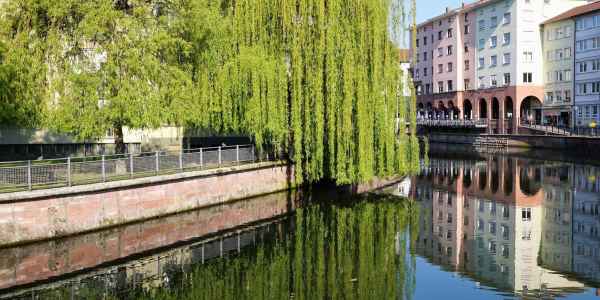 Stellenangebote für Pforzheim in Pforzheim